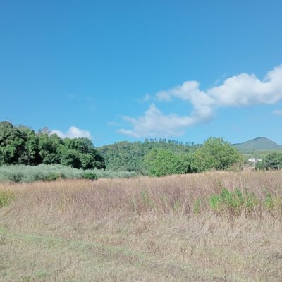 SPOLETO VICINANZE VENDESI TERRENO AGRICOLO E ULIVETO