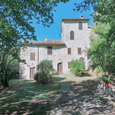 Spoleto vicinanze affittasi celo terra